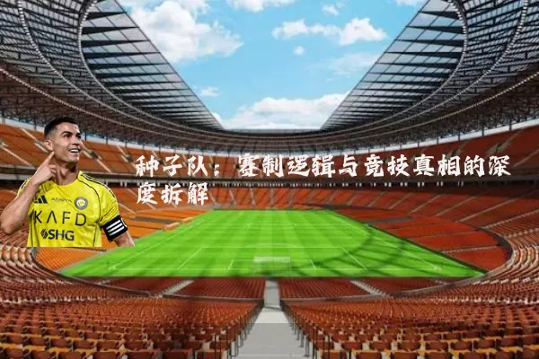 种子队：赛制逻辑与竞技真相的深度拆解